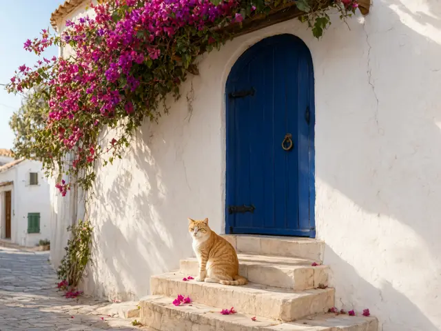 A sunlit Mediterranean doorway with bougainvillea and a cat on the steps – Qwen Image 3.0